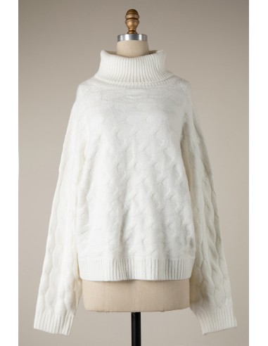 CABLE KNIT TURTLENECK SWEATER des créatures d'habitude